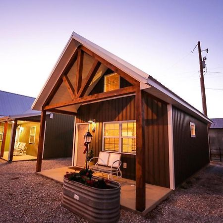 Knotty Squirrel Cabins Mountain View Exteriör bild