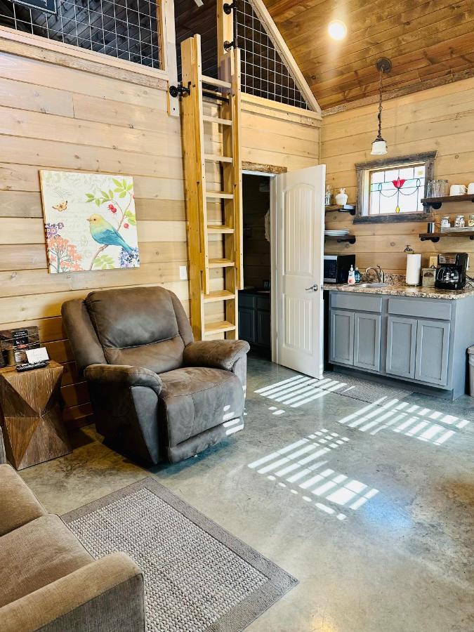 Knotty Squirrel Cabins Mountain View Exteriör bild